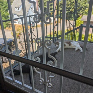 Fundraising Page: Jennifer Riddle